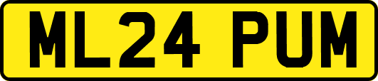 ML24PUM