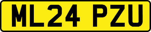 ML24PZU