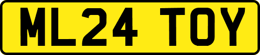 ML24TOY