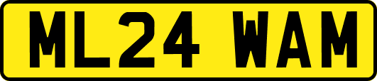 ML24WAM