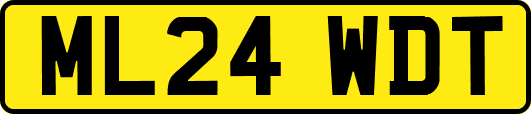 ML24WDT