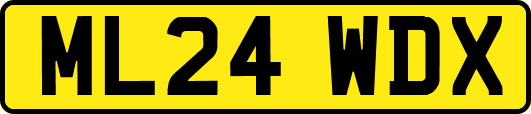 ML24WDX
