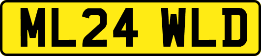 ML24WLD