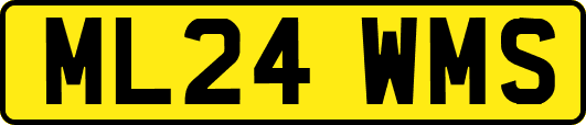 ML24WMS