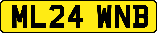 ML24WNB
