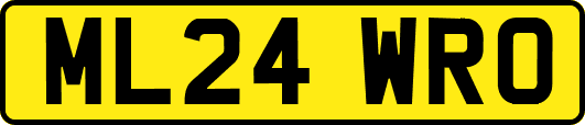 ML24WRO