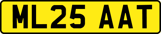 ML25AAT