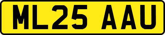 ML25AAU
