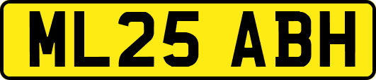 ML25ABH