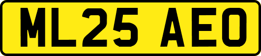 ML25AEO