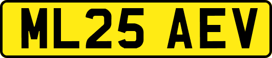 ML25AEV
