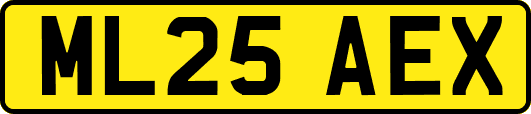 ML25AEX