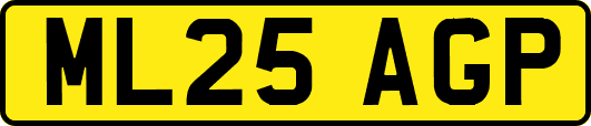ML25AGP