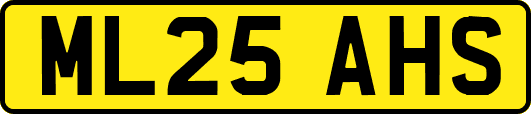 ML25AHS