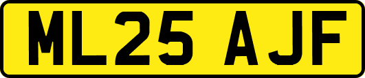 ML25AJF