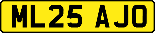 ML25AJO