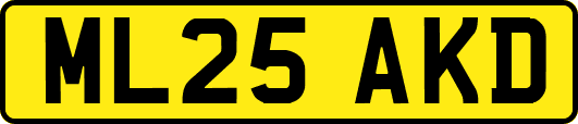 ML25AKD