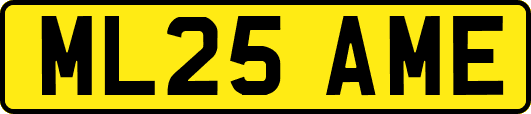 ML25AME