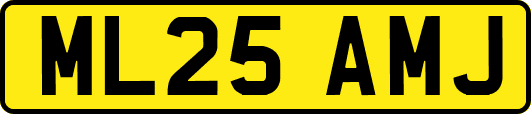 ML25AMJ
