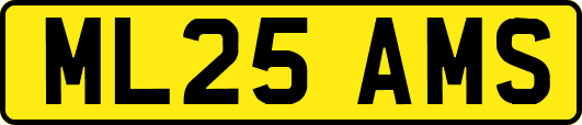 ML25AMS
