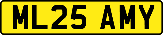 ML25AMY