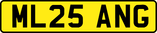 ML25ANG