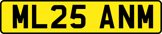 ML25ANM