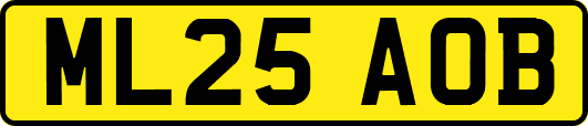 ML25AOB