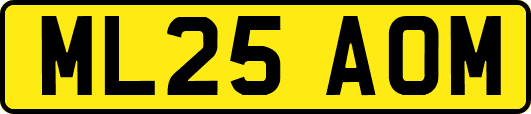 ML25AOM