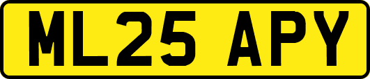 ML25APY
