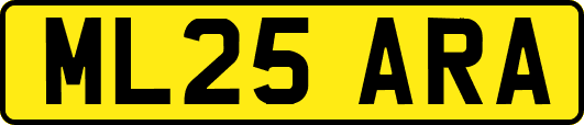 ML25ARA