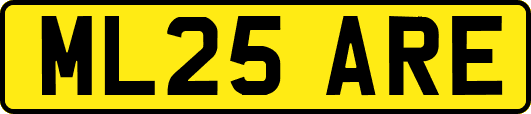 ML25ARE