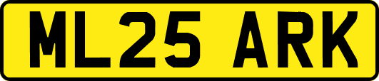 ML25ARK