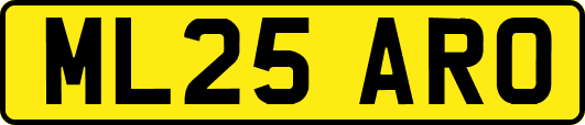 ML25ARO