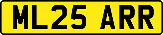 ML25ARR