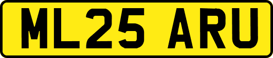 ML25ARU