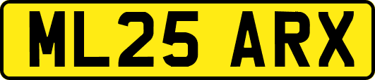 ML25ARX
