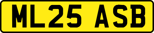 ML25ASB