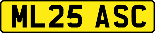 ML25ASC