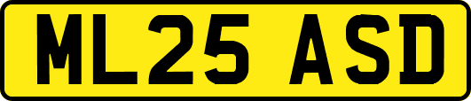 ML25ASD