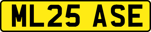 ML25ASE
