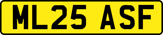 ML25ASF