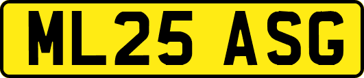 ML25ASG