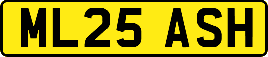 ML25ASH