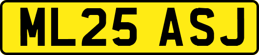 ML25ASJ