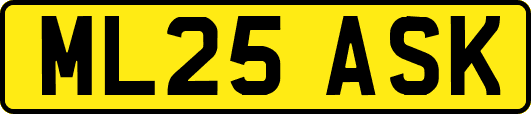 ML25ASK