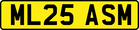 ML25ASM