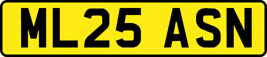 ML25ASN