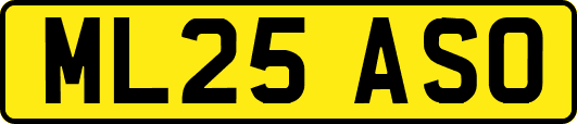 ML25ASO