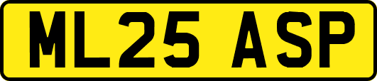 ML25ASP